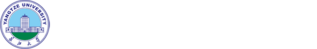 bv伟德